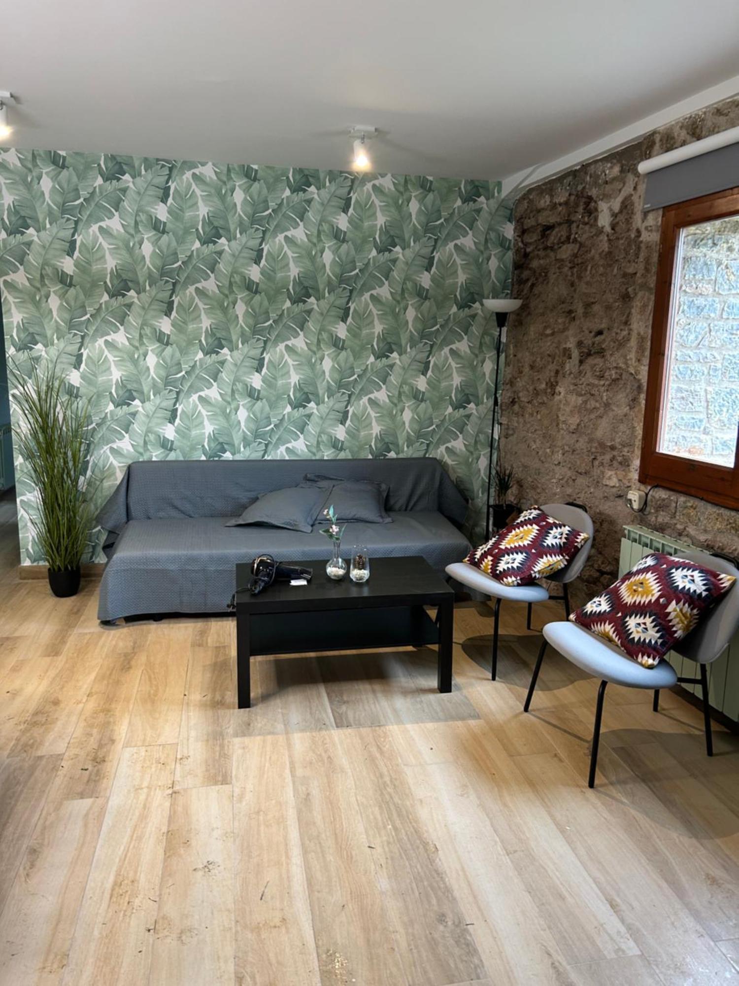 Cal Xesc Apartment Кастелар де Н'Хуг Екстериор снимка