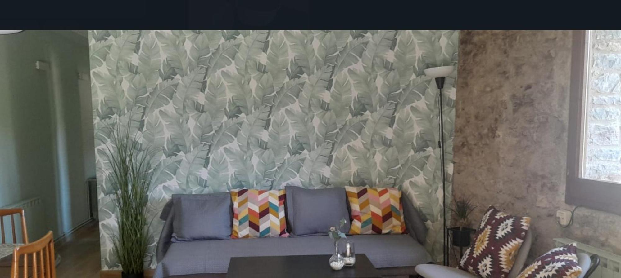 Cal Xesc Apartment Кастелар де Н'Хуг Екстериор снимка